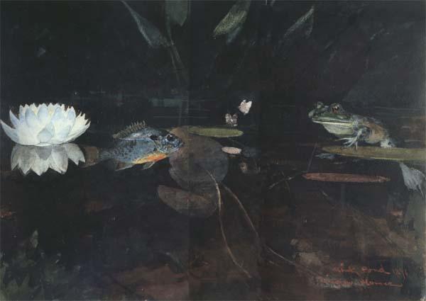 Winslow Homer The Mink Pond (mk44) Sweden oil painting art
